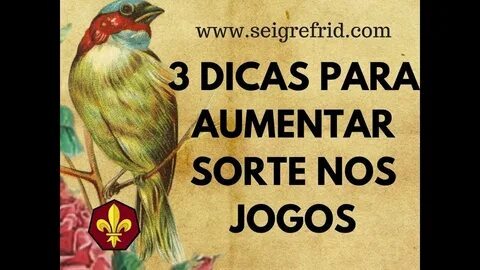 site apostas esportivas online 